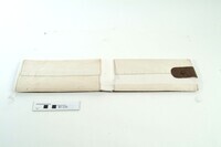 Archived Images\BY_numbers\BY1-BY500\BY239.02.jpg; BY239; man's collar case; collar case